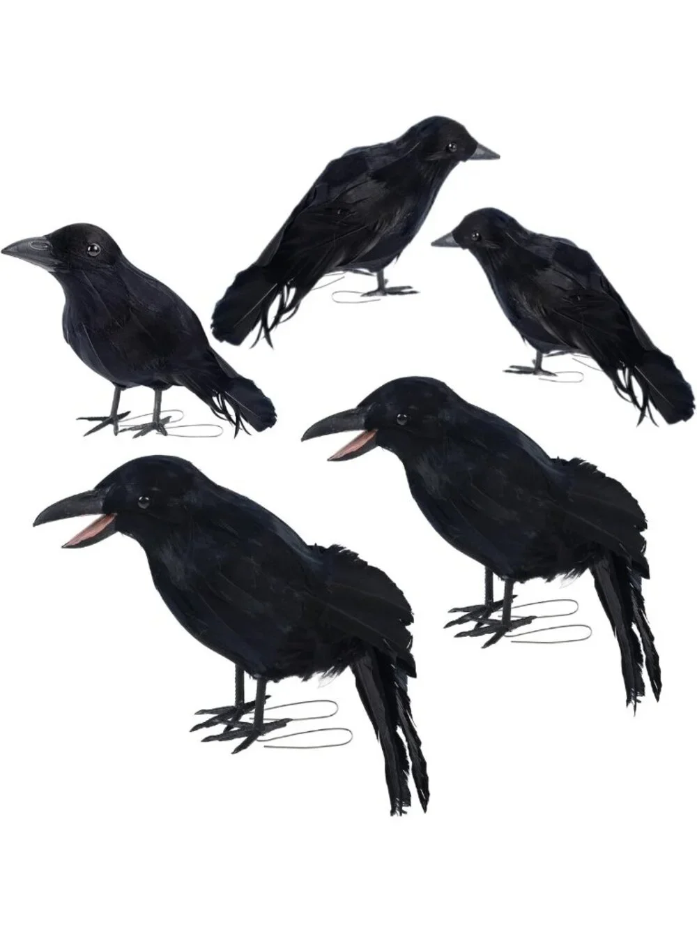 5 Pack Halloween Crow Decorations | Realistic Fake Ravens for Spooky Decor